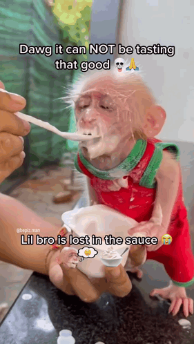 Sauce Monkey GIF