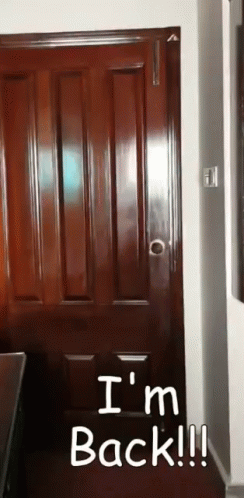 Sauronisback GIF. This 244 x 498 animated GIF is part of our im back bitches collection. Created by SauronTheGreat. View the original animation, share it…
