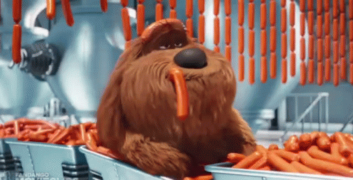 Sausage GIF. This 498 x 255 animated GIF is part of our ramsay sausage collection. View the original animation, share it, or browse related GIFs.