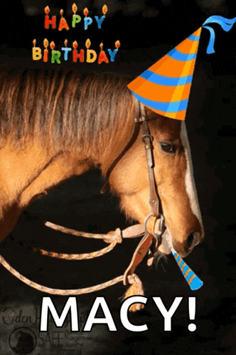 Save A Forgotten Equine Safe GIF
