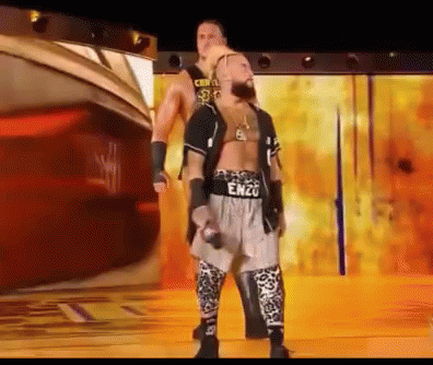 Sawft Enzo GIF