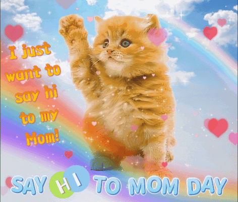 Say Hi To Mom Day Hi Mommy GIF