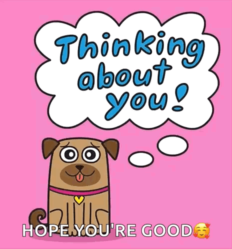 Scamp GIF