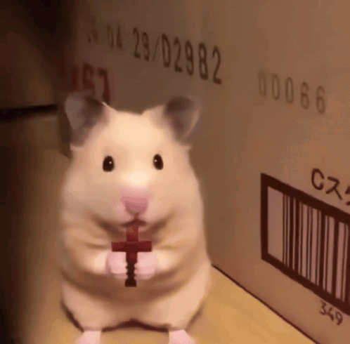Scared Hamster Hamster Cross GIF