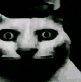 Scary Cat Meme