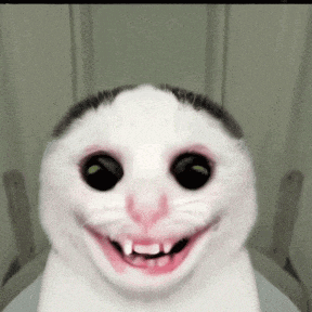 Scary Cat GIF
