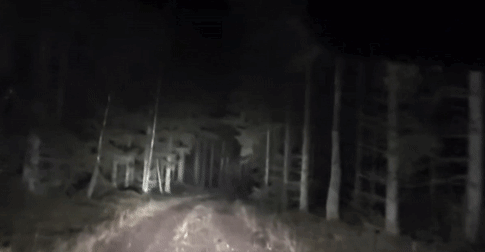 Scary GIF