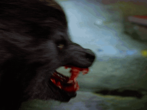 Scary Horror GIF