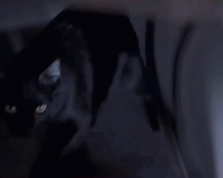 Scary Movie Scary Movie 2 GIF