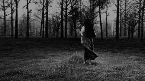 Scary GIF