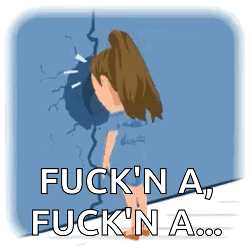 Schol No GIF