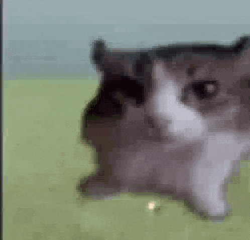 School In The Morning Be Like GIF
