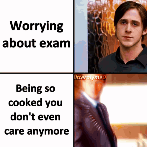 School Memes GIF