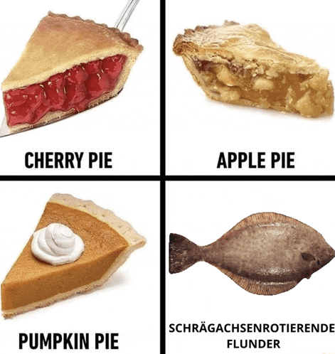 Schrägachsenrotierende Flunder Flunder GIF