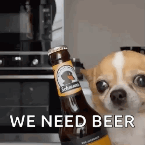 Schwanchi GIF