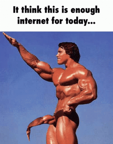 Schwarzenegger I Think Thats Enough Internet For Today GIF