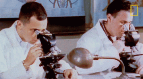 Scientist Survival Of The Friendliest GIF