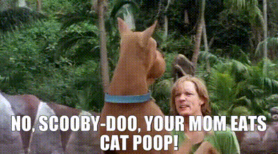 Scooby Doo Shaggy GIF