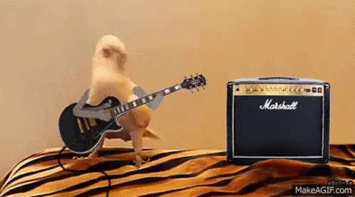 Scott Dude GIF