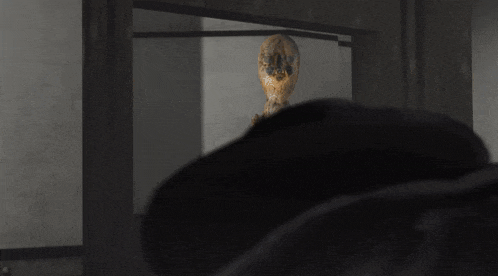 Scp 049 Vs Scp 106 Scp GIF