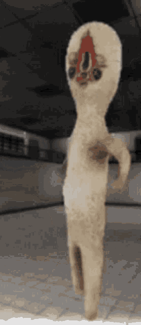 Scp Peanut GIF
