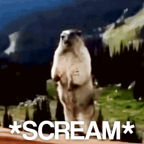 Scream Angry GIF
