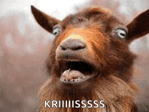 Screaming Goat GIF