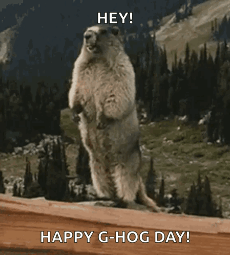 Screaming Groundhog GIF