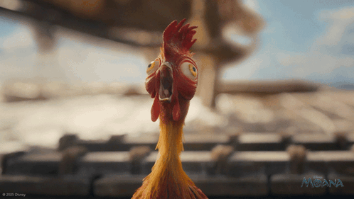 Screaming Heihei GIF. This 498 x 281 animated GIF is part of our hei hei moana collection. Related themes include screaming. Created by Moana. View the…