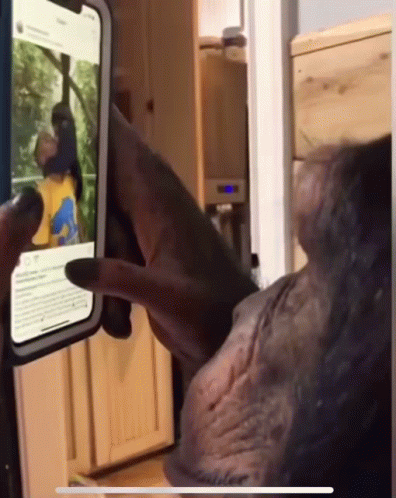 Scrolling Instagram GIF