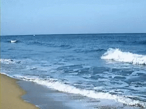Sea Beach GIF