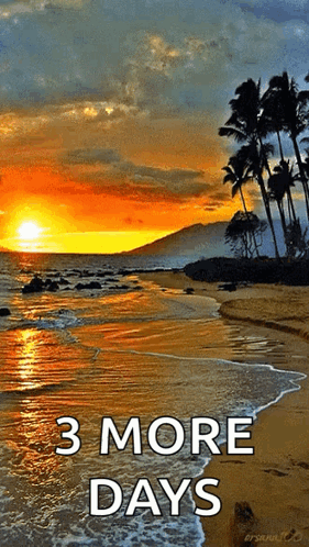 Sea Beach GIF
