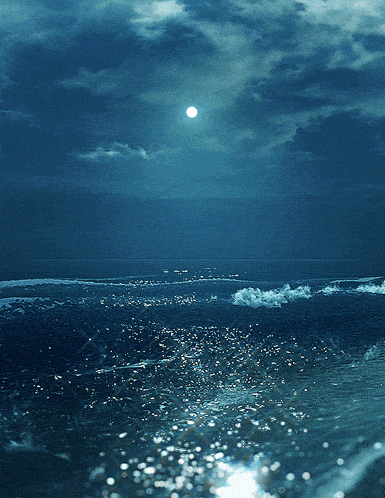 Sea Sun GIF