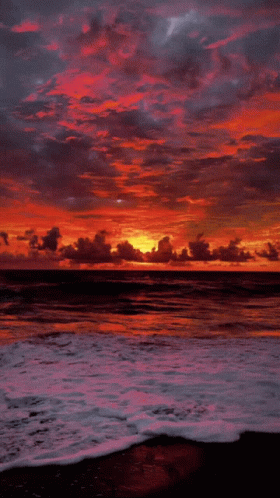 Sea Sunset GIF