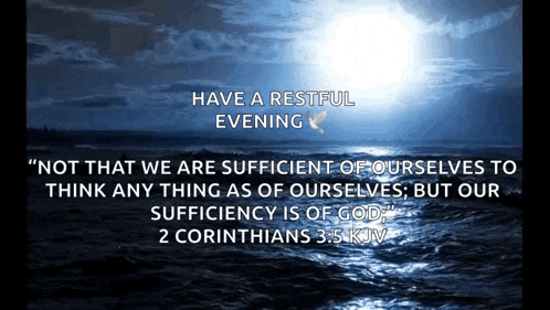 Sea Waves Moonlight GIF