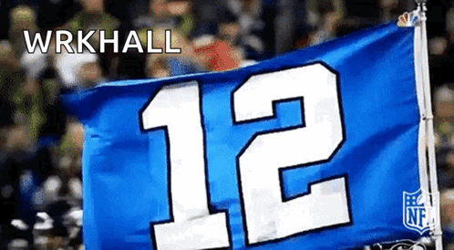 Seahawks Seattle GIF