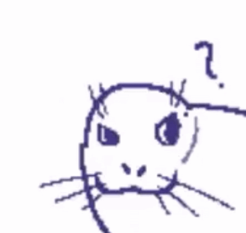 Seal Seal Confusion GIF