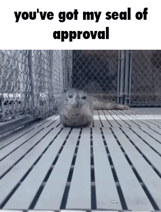 Seal Seal Of Approval GIF