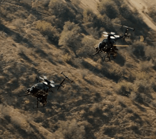 Seal Team Flying GIF