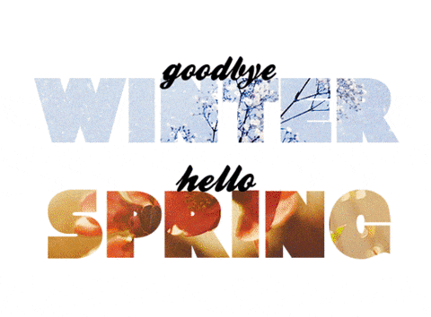 Seasons GIF