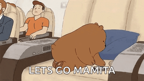 Seatbelt Grizzly GIF
