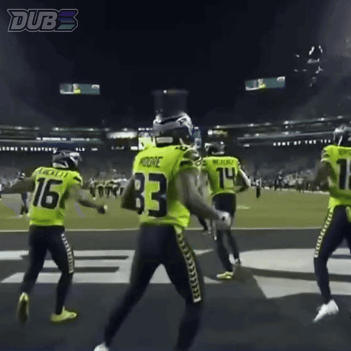 Seattle Seahawks Celebration GIF