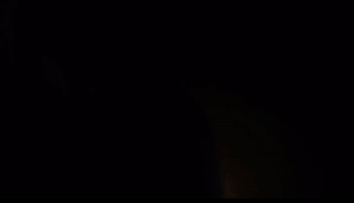 Sebastian Black Butler GIF