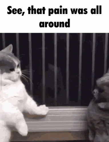See That Pain Was All Around Astronaut In The Ocean GIF. This 382 x 498 animated GIF is part of our pain everywhere collection. Created by…