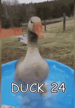 Seed Squad Seed GIF