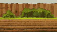 Seed GIF