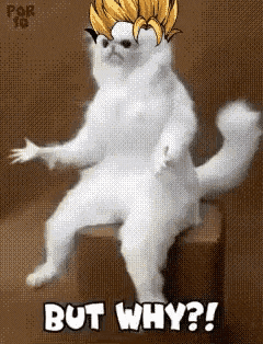 Sei Seiyan GIF