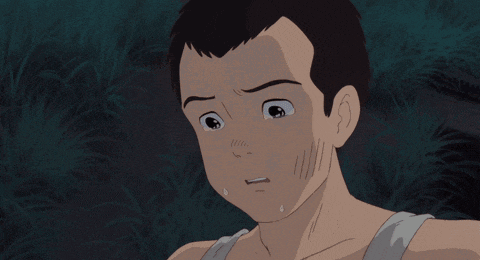Seita Grave Of The Fireflies GIF