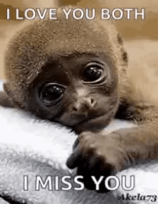 Senan GIF