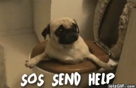 Send Help! GIF